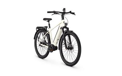 Kalkhoff IMAGE 5+ MOVE 48 29" 5 starwhite glossy Diamond Produktbild 9