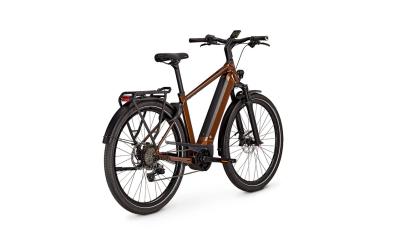 Kalkhoff ENDEAVOUR 5+ ADVANCE 48 29" 10 goldbrown glossy Diamond Produktbild 3