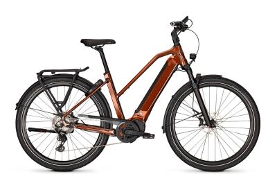 Kalkhoff ENDEAVOUR 5+ ADVANCE 48 29" 10 goldbrown glossy Trapez Produktbild 2