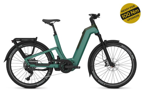 Kalkhoff ENTICE 7+ MOVE 55 27.5" 10 mineralgreen matt Wave