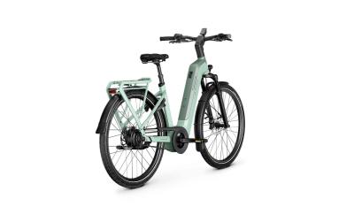 Kalkhoff IMAGE 5+ ADVANCE 48 29"  sagegreen matt Wave Produktbild 1