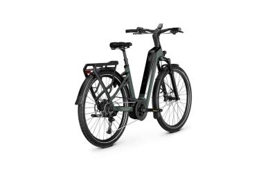 Kalkhoff ENDEAVOUR 5+ ADVANCE 53 29" 10 techgreen glossy Wave Produktbild 3