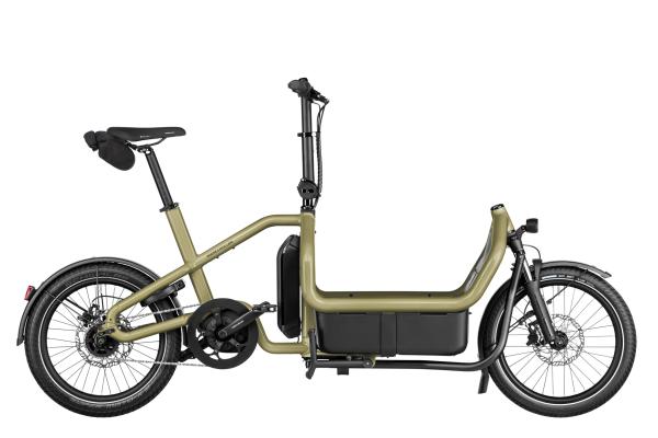 Riese & M&uuml;ller Carrie2 City Anise