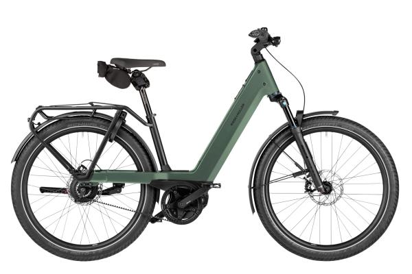 Riese & M&uuml;ller Nevo5 Vario Moss